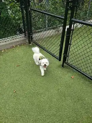 West New York Dog Park