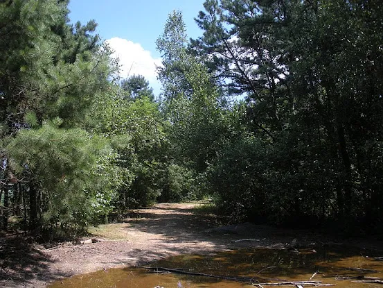 West Sayville National Wildlife Refuge