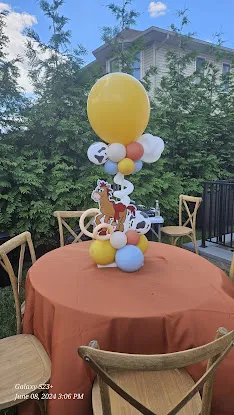 Westside Party & Tent Rental