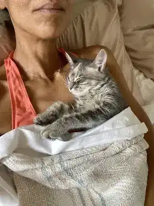 Whiskers-a-GoGo