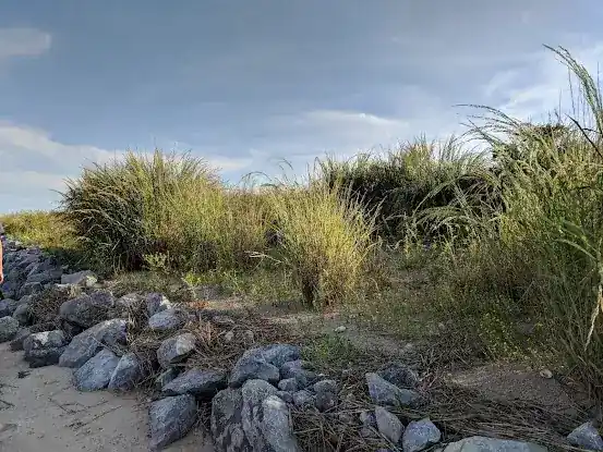White Island