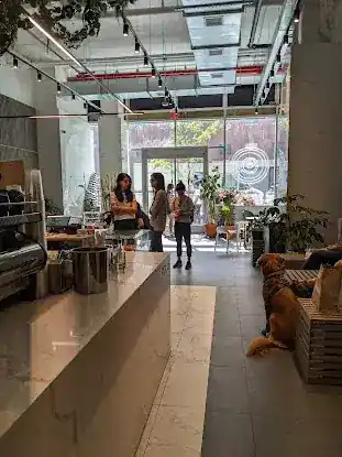 White Noise Coffee - Coffee Shop & Roastery