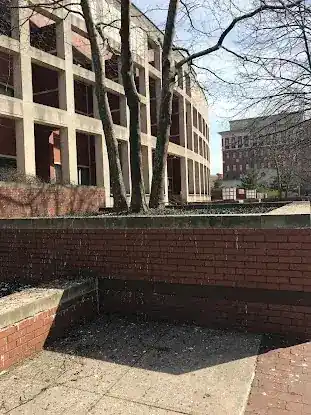 White Plains City Court