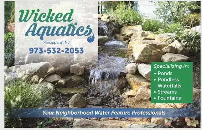 Wicked Aquatics