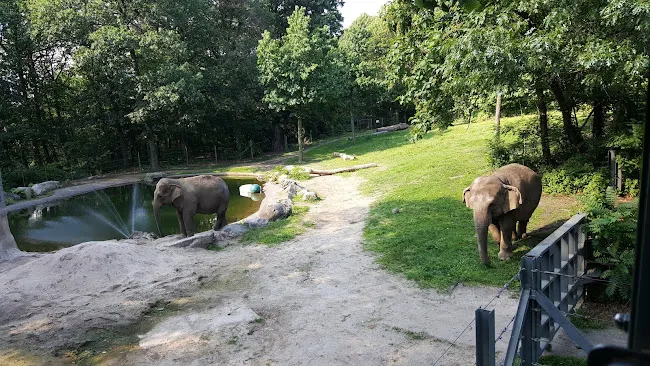 Wild Asia Monorail