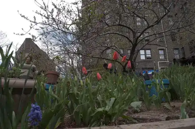 William A. Harris Garden