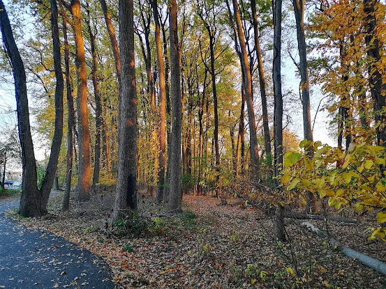 William T Davis Wildlife Refuge