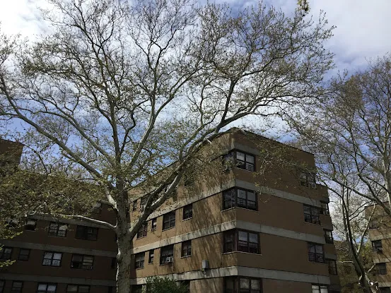 Williamsburg