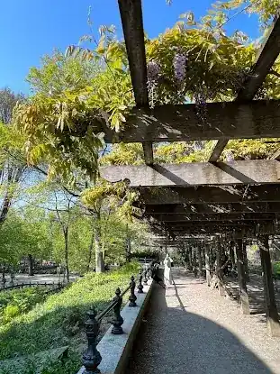 Wisteria Pergola At The Mall