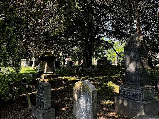 Woodlawn Cemetery • Conservancy