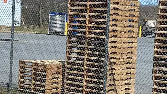 WoodPalletGuysNYC