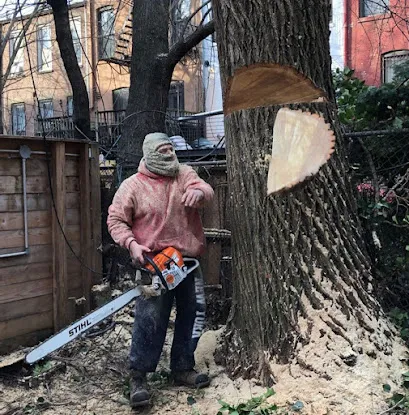 Woody Woodpecker Tree Service