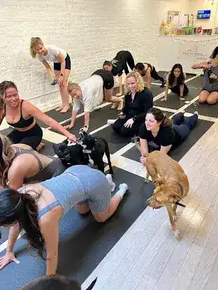 Woof Wellness