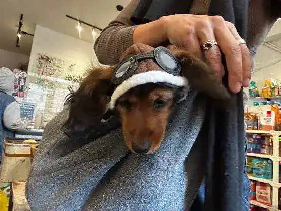 Wooftown