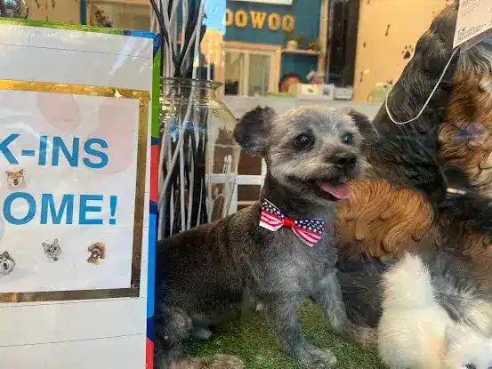 WooWoo Dog and Cat Grooming