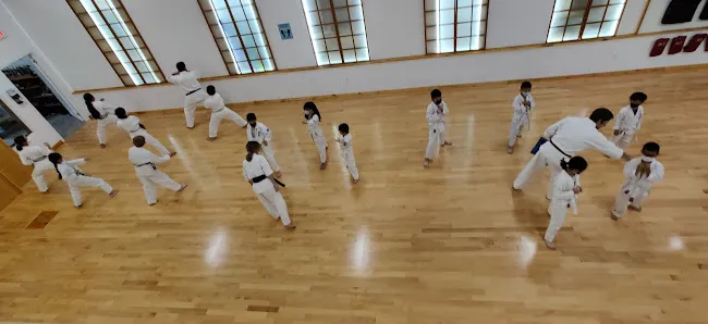 World Seido Karate
