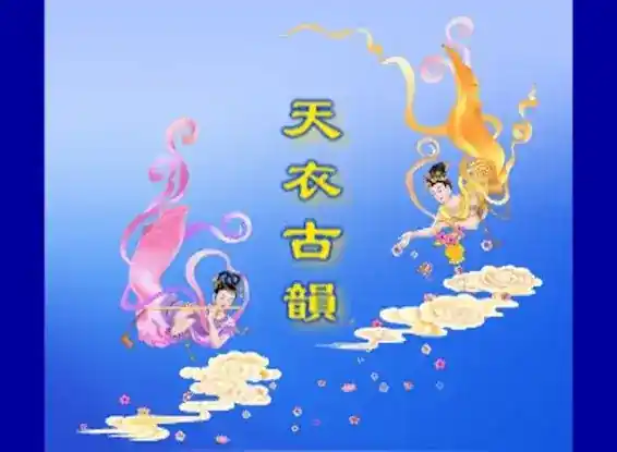 Y.C.Fashion Design Co 天韻時尚設計公司
