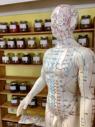 Yin Wah Chan Acupuncture, PLLC