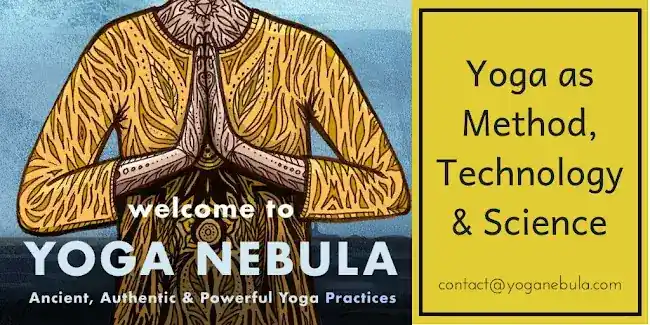 Yoga Nebula Inc