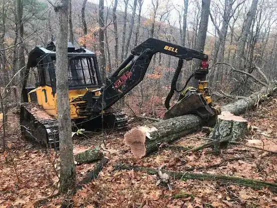 Young Timber Services