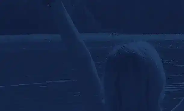 YouniquelyFit