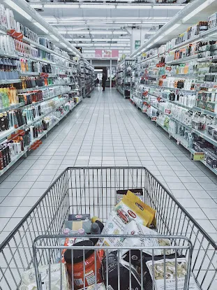 Zip Dropped Grocery Delivery Services