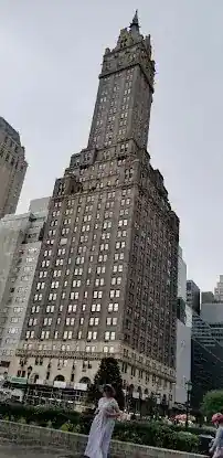 Zook Corporate Skyscraper
