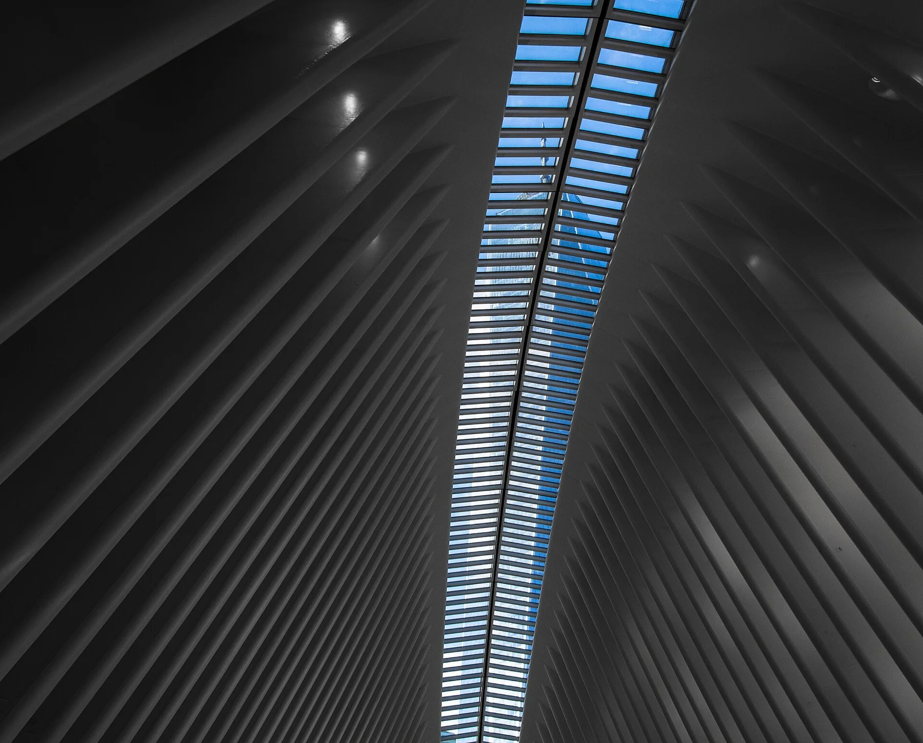 One World Trade Center viewed through the Oculus